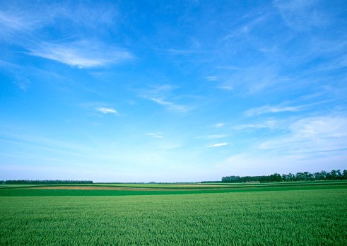 ろくでなし の ろく ってなに お家についてのお役立ち住宅ブログ 株式会社ロゴスホーム