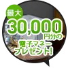 最大5,000円分電子マネープレゼントキャンぺーン開催中